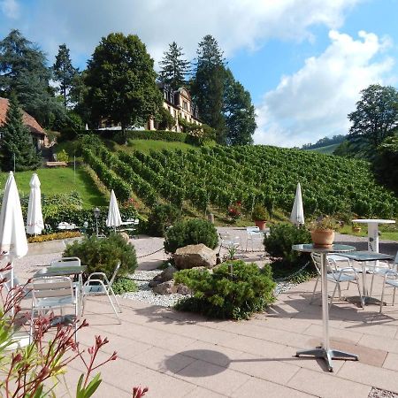 Wein Lodge Durbach - Gruppenhaus Weingut Neveu Exterior foto